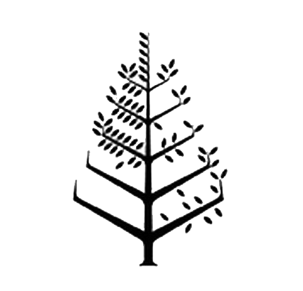 阿布扎比阿玛尔岛四季酒店 Logo